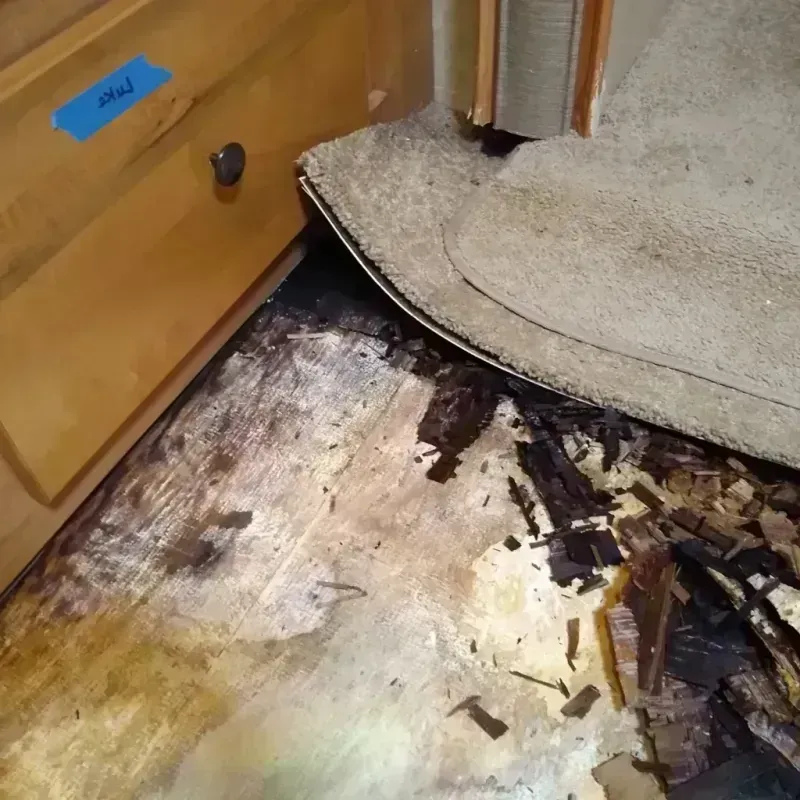 Wood Floor Water Damage in Webberville, MI